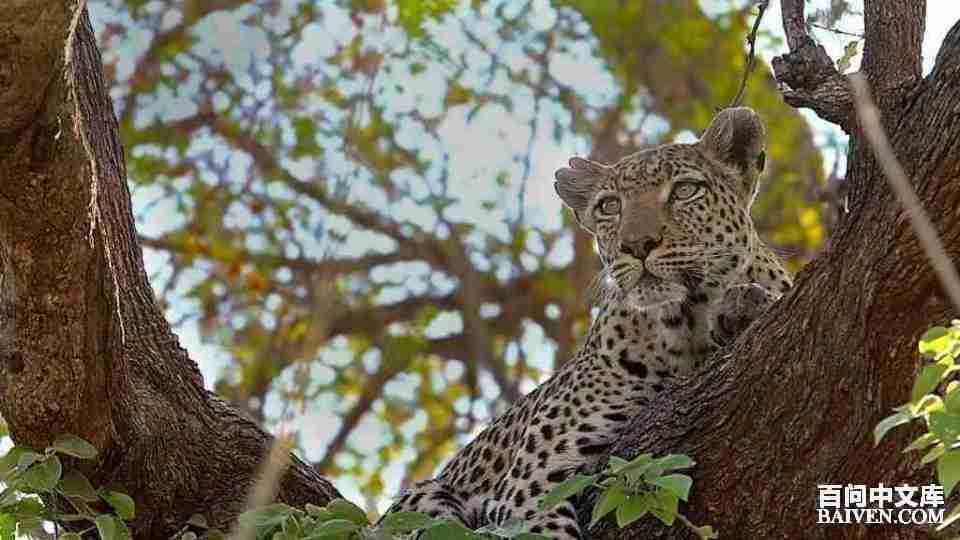 百问爆笑经典笑话大全