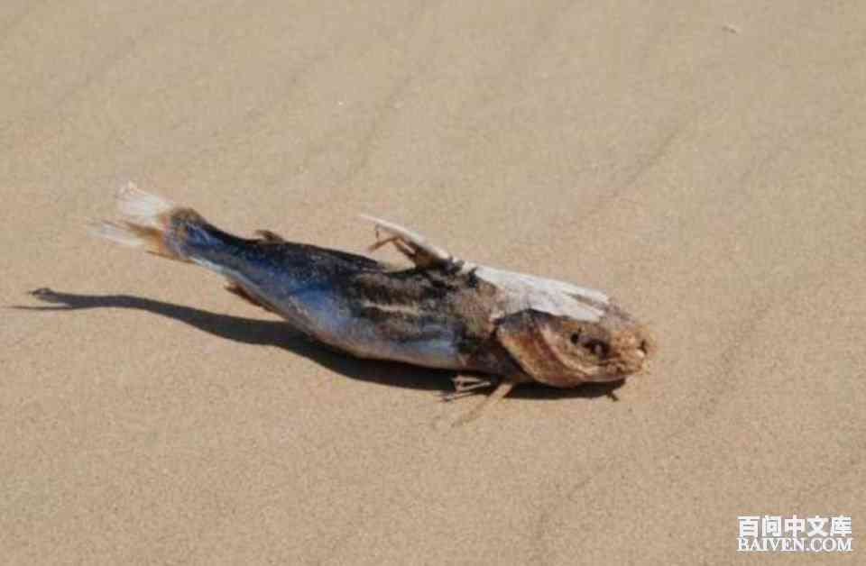 百问爆笑经典笑话大全