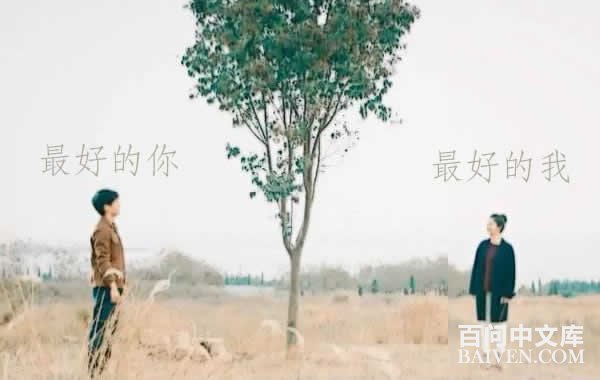 小说《最好的我们》金句