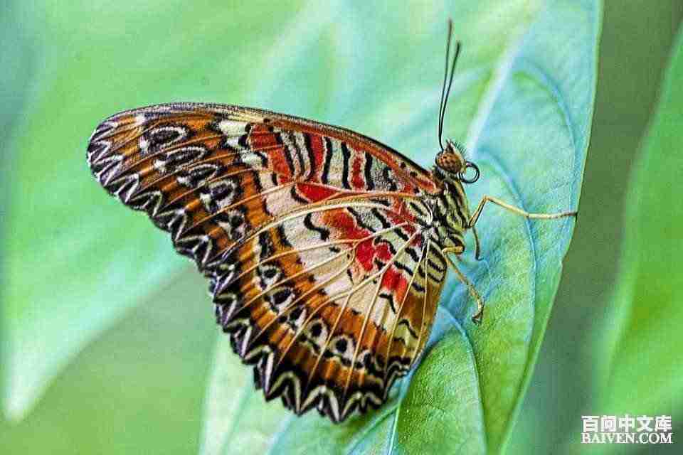 百问爆笑经典笑话大全