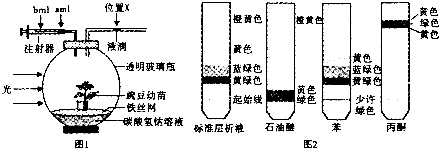 电大作业网